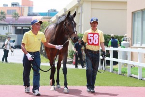 @Chiba Thoroughbred Sale 2015