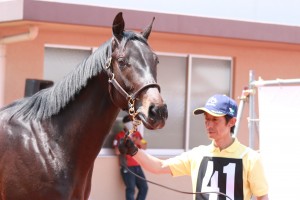 @Chiba Thoroughbred Sale 2015