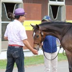 Select Sale 2015