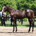Select Sale 2016