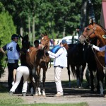 Select Sale 2016