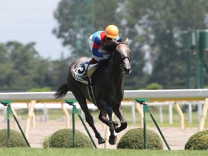 2010-08-08 クリーンエコロジー新馬戦