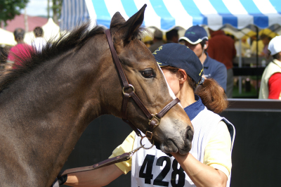 �A�L�g�I���I��