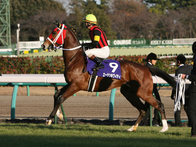 �G�[�V���z���C�e�B