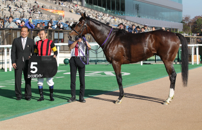 �G�[�V���z���C�e�B