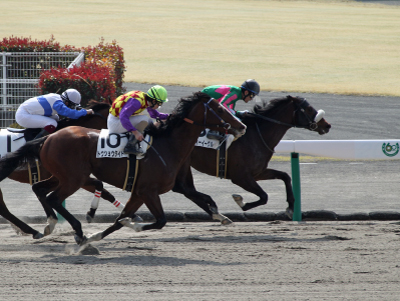 �o�[�f�B�[�C�[�O��