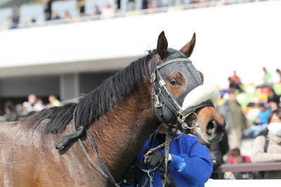 �o�[�f�B�[�C�[�O��