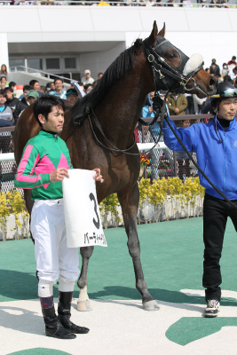 �o�[�f�B�[�C�[�O��