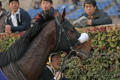 �o�[�f�B�[�C�[�O��