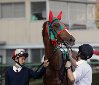 �N���[���J�C�U�[