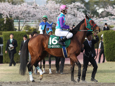 クリールパッション