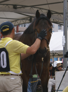 �_�C���C���p���X