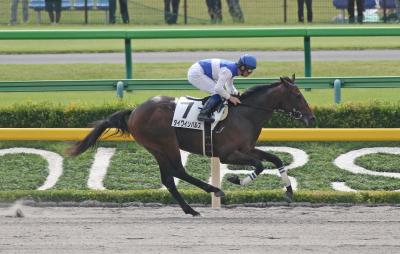 �_�C���C���p���X