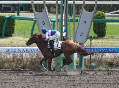 �_�C���X�p���L�[