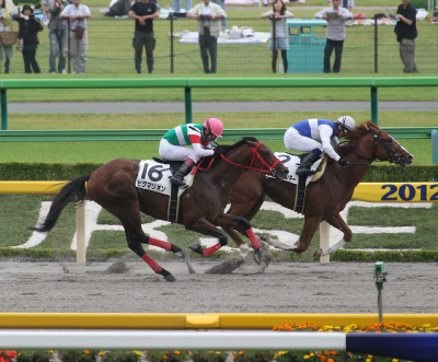 �_�C���X�p���L�[