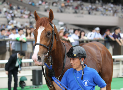 �_�C���X�p���L�[