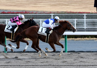 �_�C���X�p���L�[