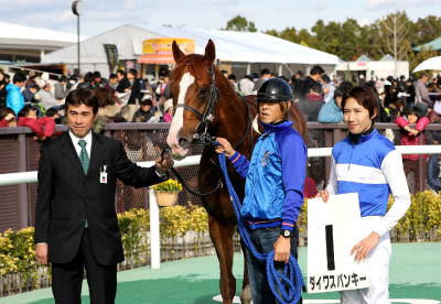 �_�C���X�p���L�[