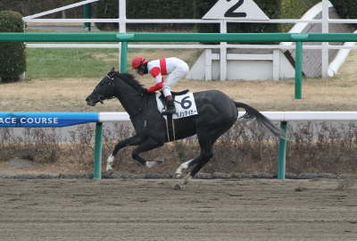 �_�m���A�C�K�[