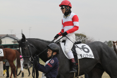 �_�m���A�C�K�[