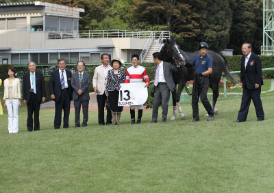 �_�m���A�C�K�[