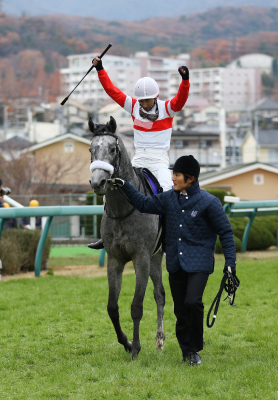 �_�m���v���`�i