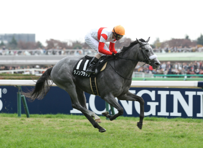 �_�m���v���`�i