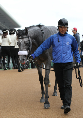 �_�m���v���`�i