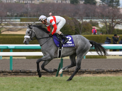 �_�m���v���`�i