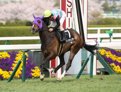 �_���c�L�����T�[