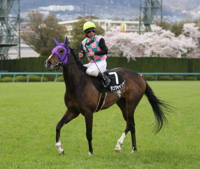 �_���c�L�����T�[