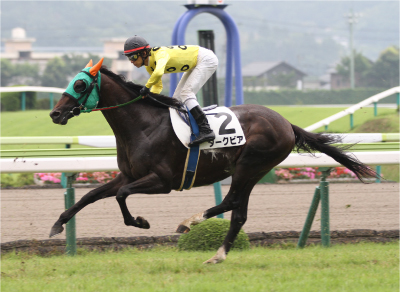 �_�[�N�r�A