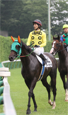 �_�[�N�r�A