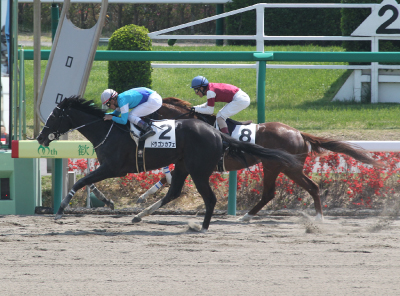 �h���S���J�t�F