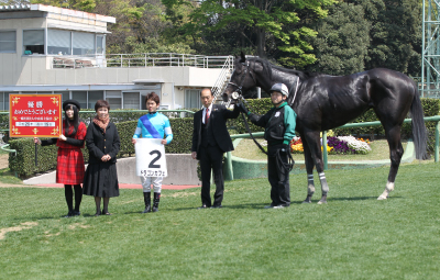 �h���S���J�t�F