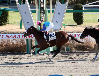 �h���S���t�H���e