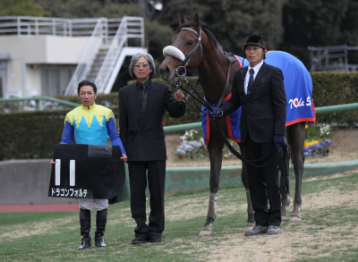 �h���S���t�H���e