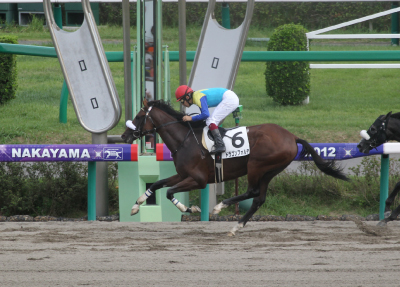 �h���S���t�H���e