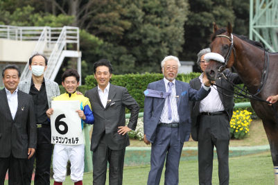 �h���S���t�H���e