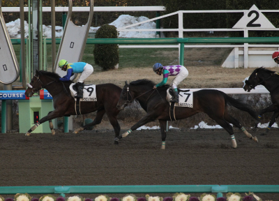 �h���S���t�H���e