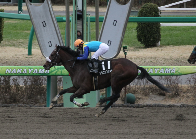 �h���S���t�H���e