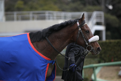 �h���S���t�H���e