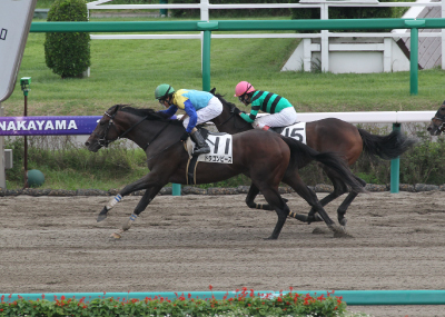 �h���S���s�[�X