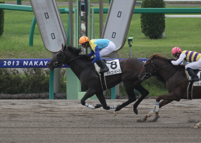 �h���S���s�[�X