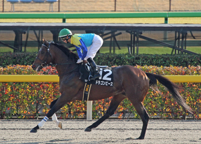 �h���S���s�[�X