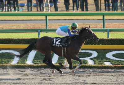 �h���S���s�[�X