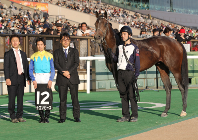 �h���S���s�[�X