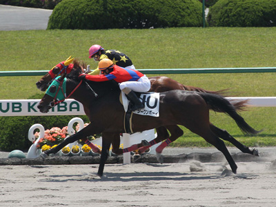 �h���[���Z�[�����O