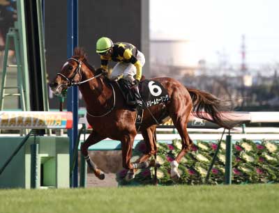 �h���[���Z�[�����O