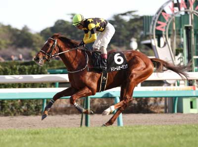 �h���[���Z�[�����O